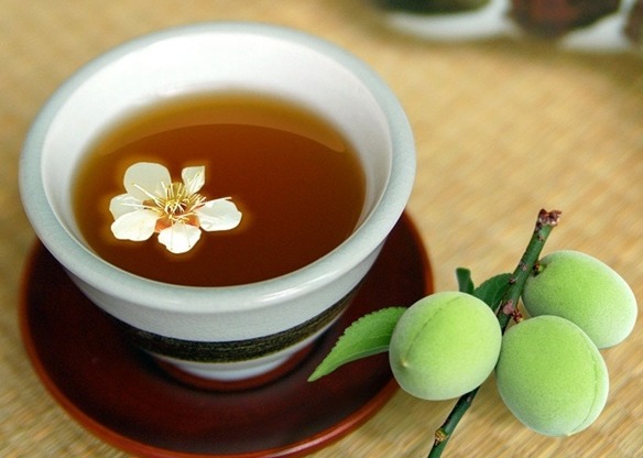 ダイエットプーアール茶の口コミと効果は本当 食前に飲むだけで 12キロ